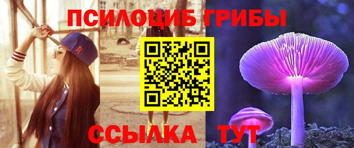 Галлюциногенные грибы Cubensis  Галлюциногенные грибы Cubensis  Вход с VPN  Орехово-Зуево 
